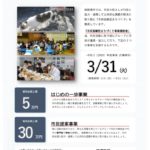 11flyer2020のサムネイル
