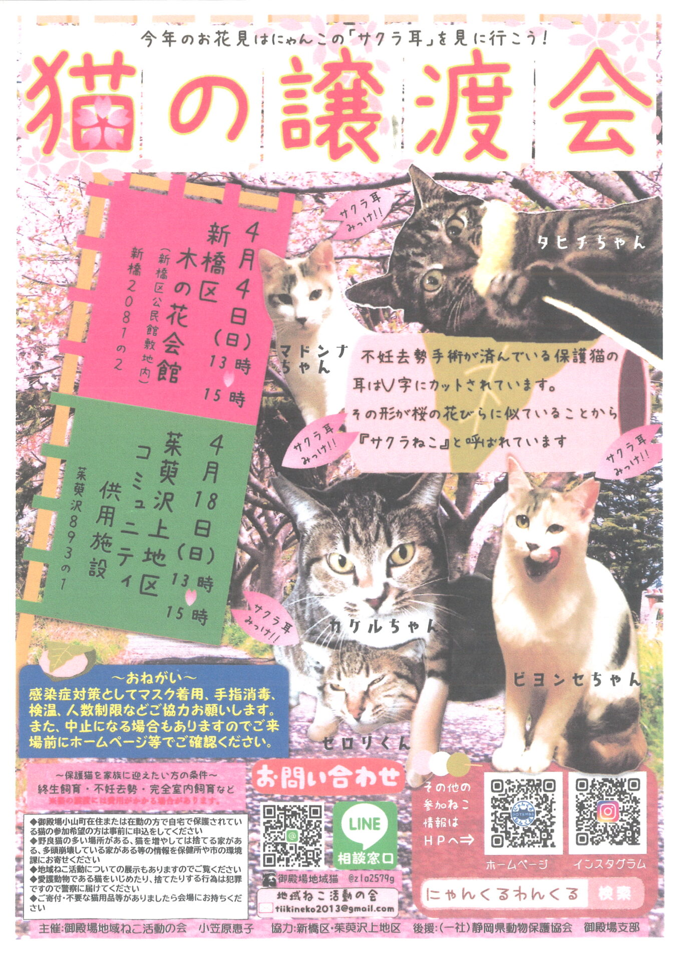 猫の譲渡会 御殿場地域ねこ活動の会 御殿場市民活動支援センター